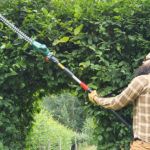 Bosch-Universal-Hedge-Pole-18-Trimmer-Review