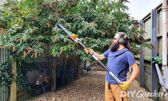Terratek-550W-Long-Reach-Hedge-Trimmer-Review