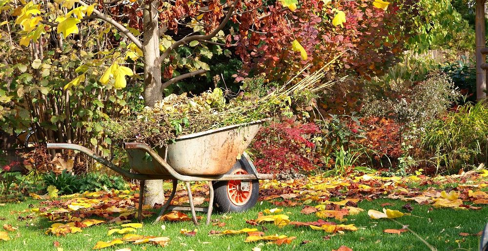 what-to-do-in-the-garden-in-october