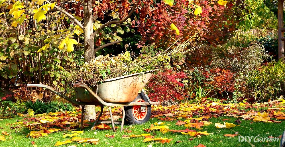 what to do in the garden in october