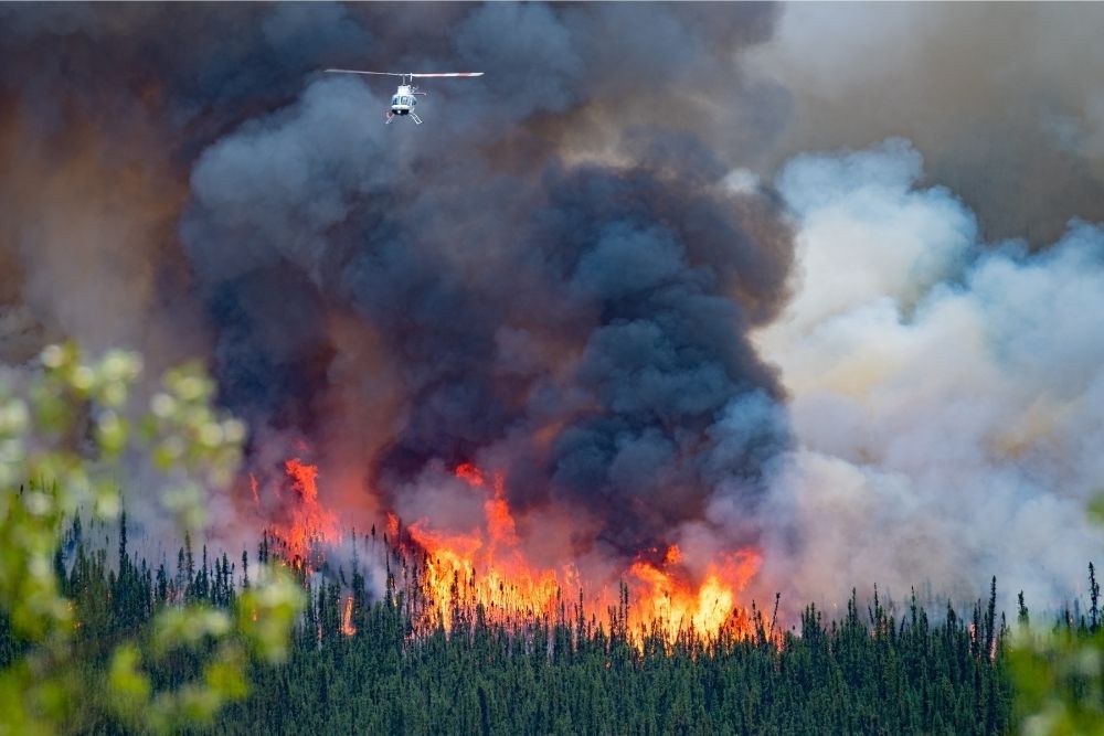 wild-forest-fire-in-canada