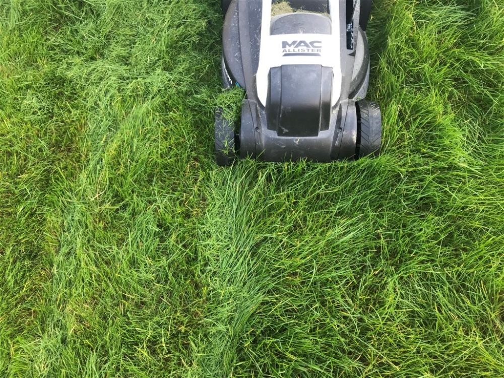 Lawnmower