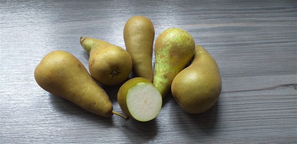 pears