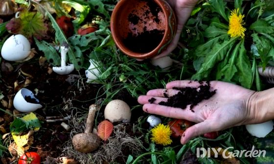 composting-with-coffee-grounds