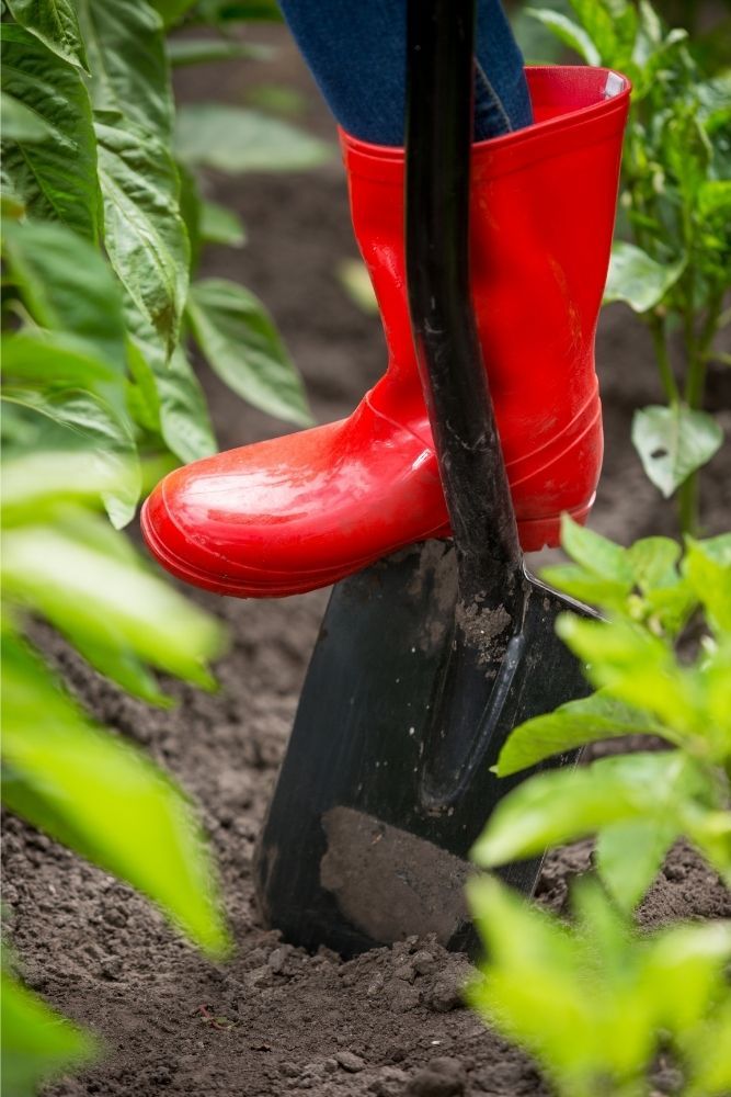 garden-spade