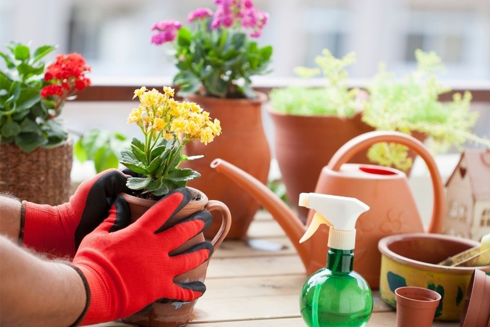 gardening-gloves