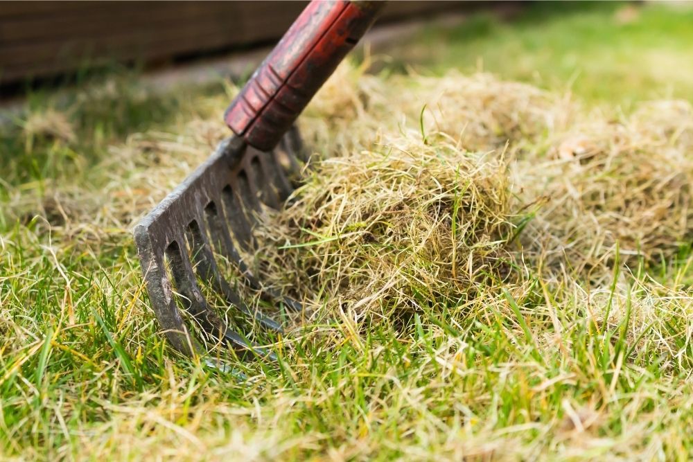 grass-rake