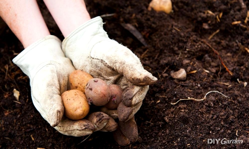 how to clean leather gardening gloves