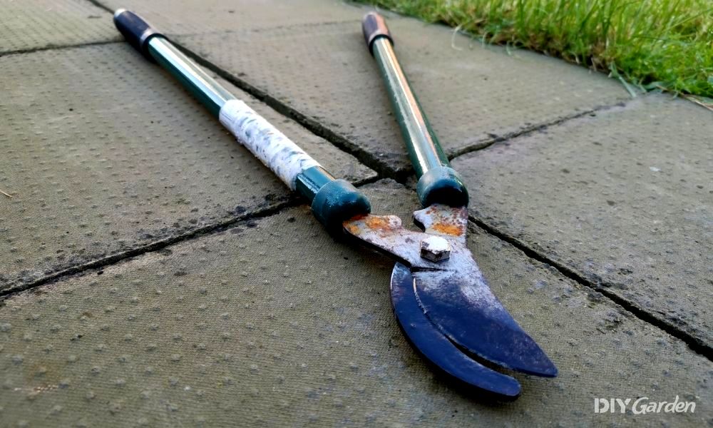 how to clean rusty garden tools