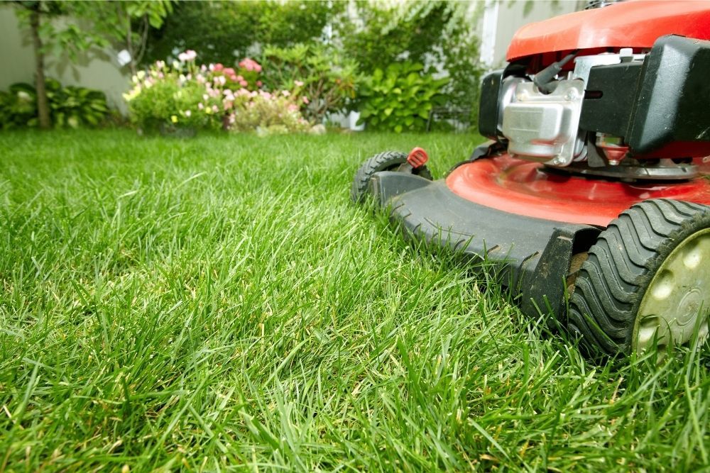 lawnmower-cutting-grass