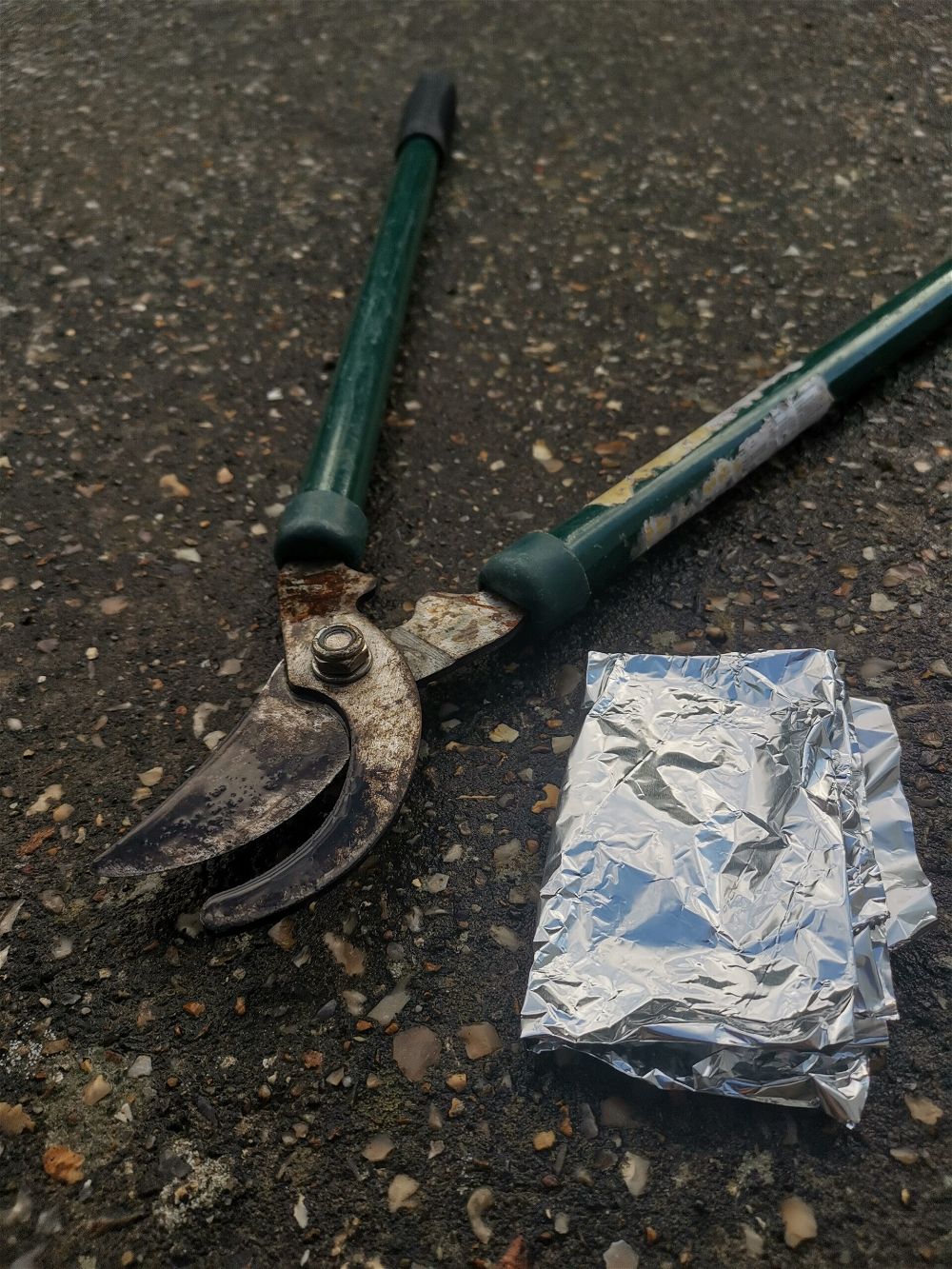 How to Clean Rusty Garden Tools DIY Garden™