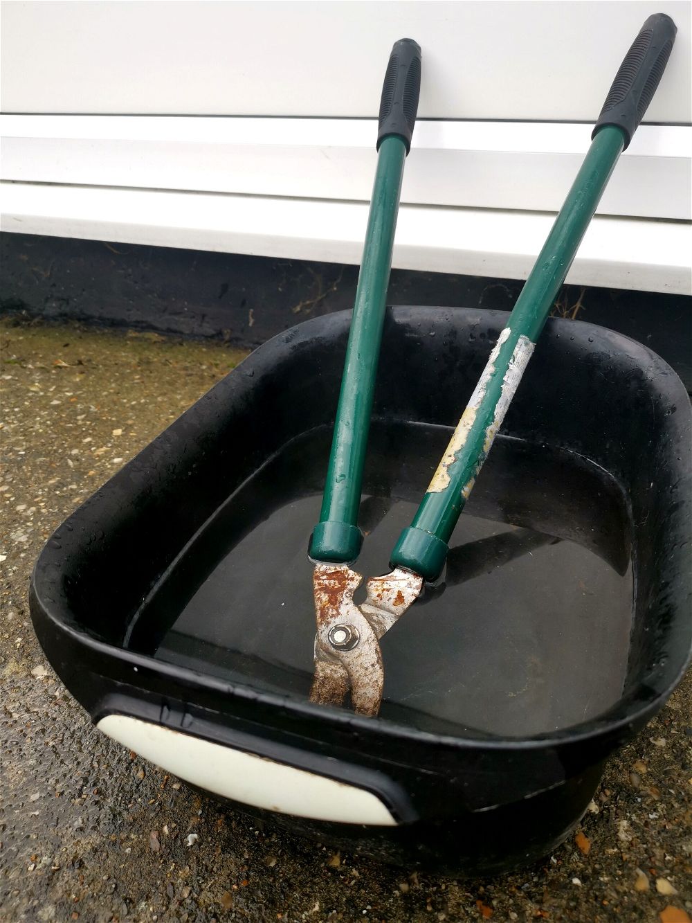 How to Clean Rusty Garden Tools DIY Garden™