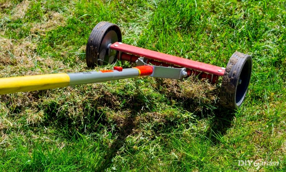 what to do after scarifying your lawn