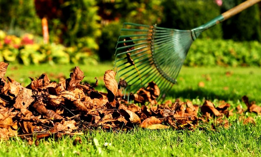 what-to-do-in-the-garden-in-november