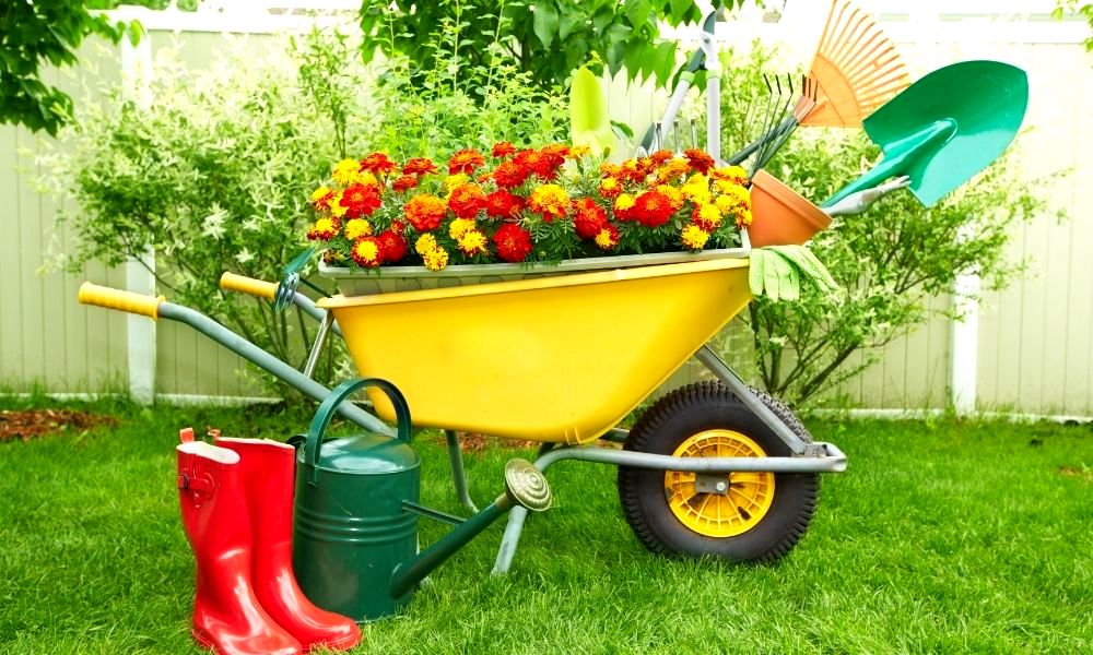 what-tools-do-i-need-to-start-a-gardening-business