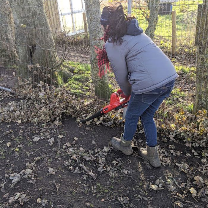 Einhell leaf best sale blower review