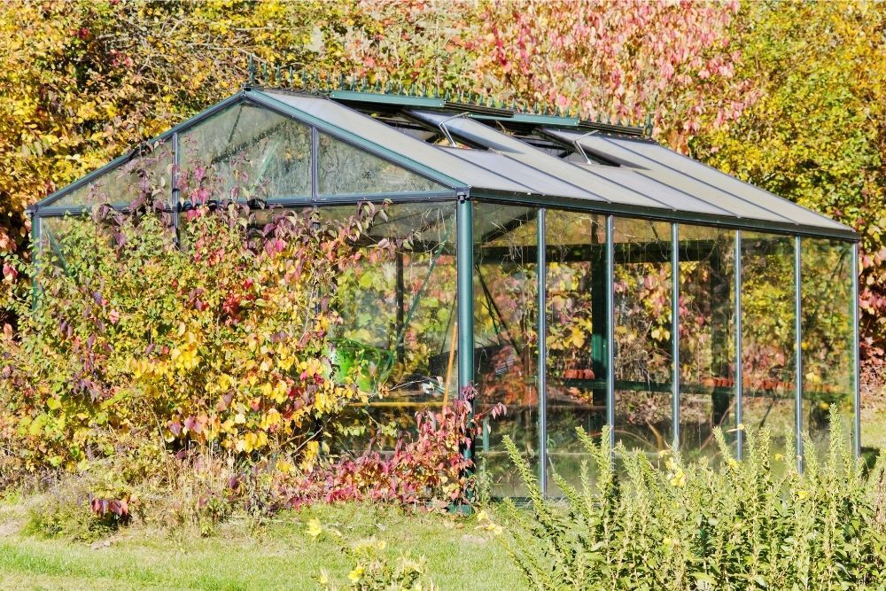 autumn-greenhouse-preparation
