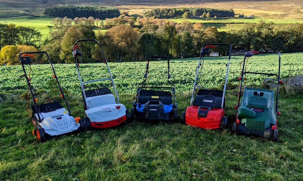 How to Use a Lawn Scarifier DIY Garden™