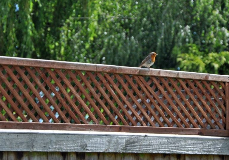 How High Can Your Garden Fence Be (2026 UK Regulations)