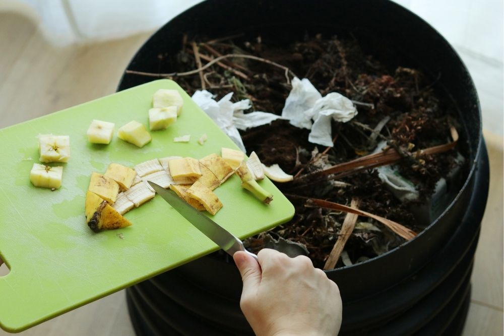 indoor-wormery-compost-bin