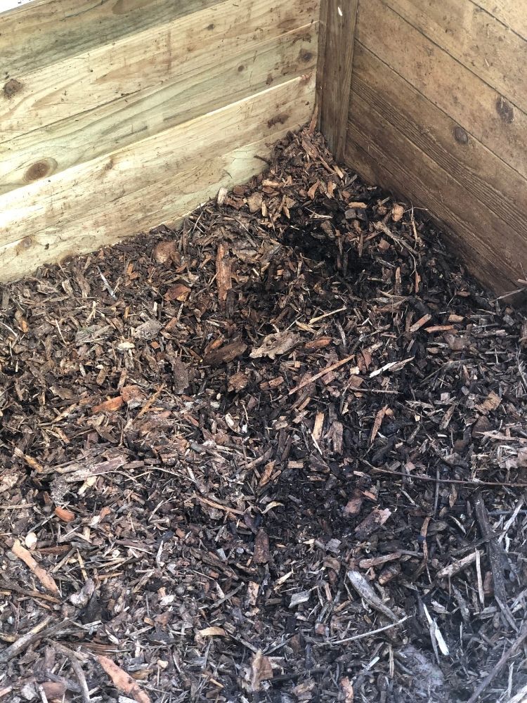 making-the-most-of-old-compost