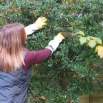 Olsen Deepak Gauntlet Gardening Gloves reviewed