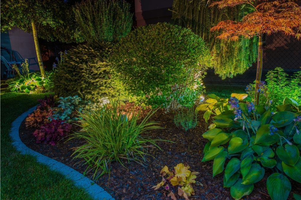 backyard-garden-led-lights