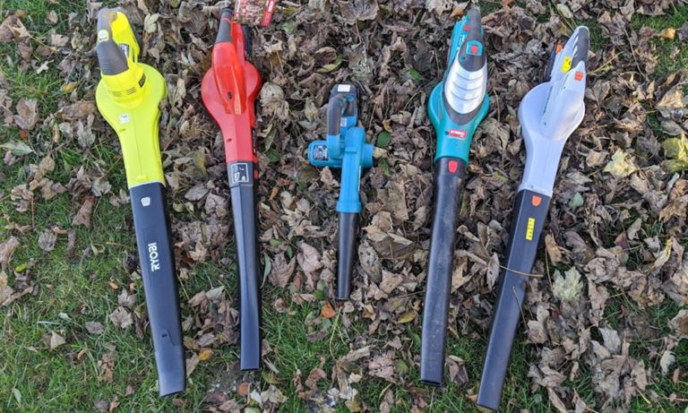 5 Best Cordless Leaf Blowers UK Tested (2024 Review)