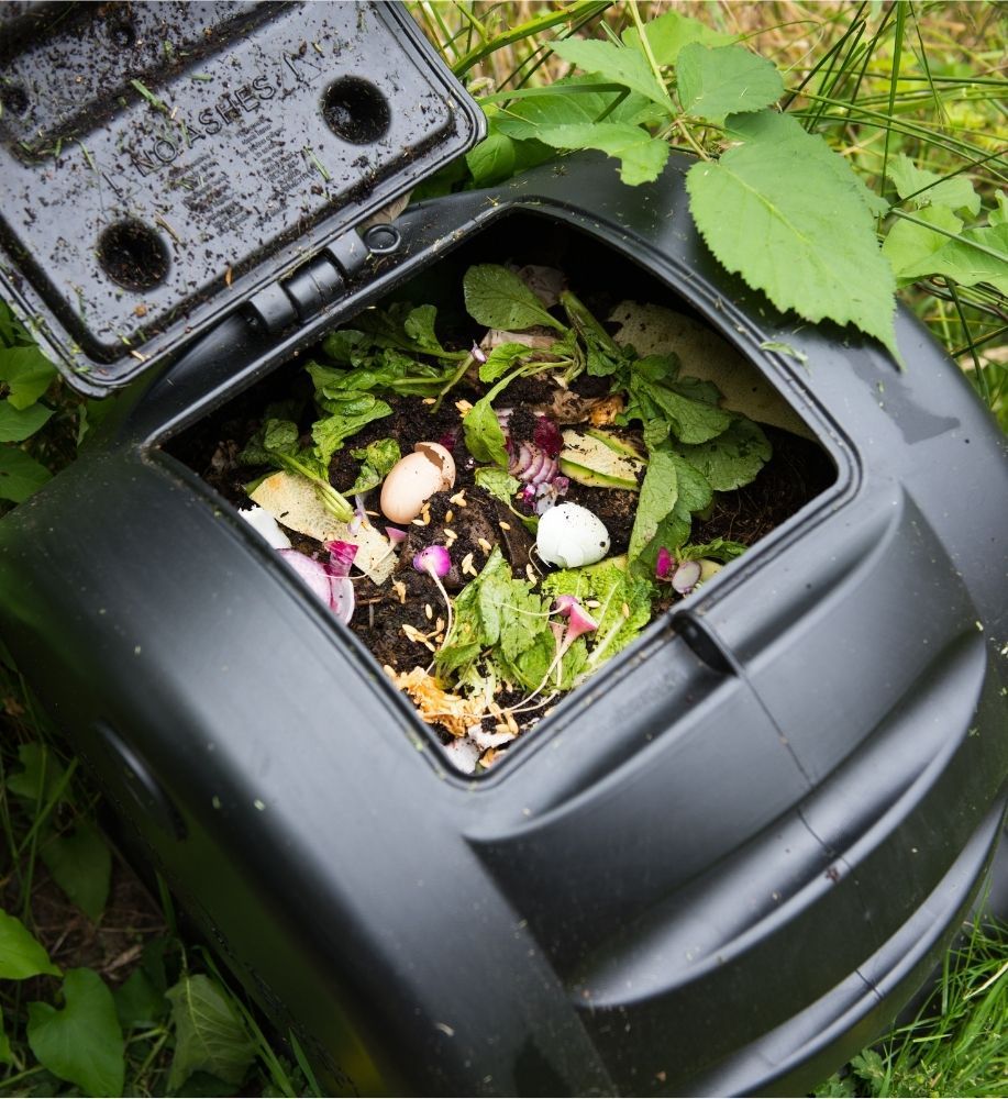 compost-bin-with-food-scraps