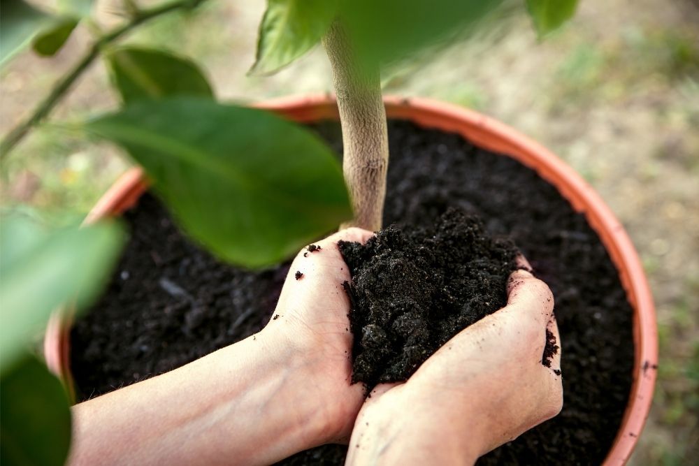 composting-environmental-benefits
