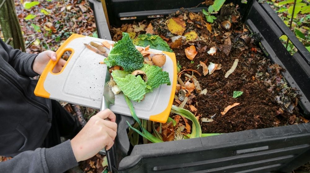 composting-reduces-waste-disposal