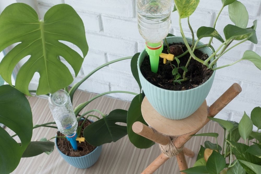drip-system-for-watering-plants