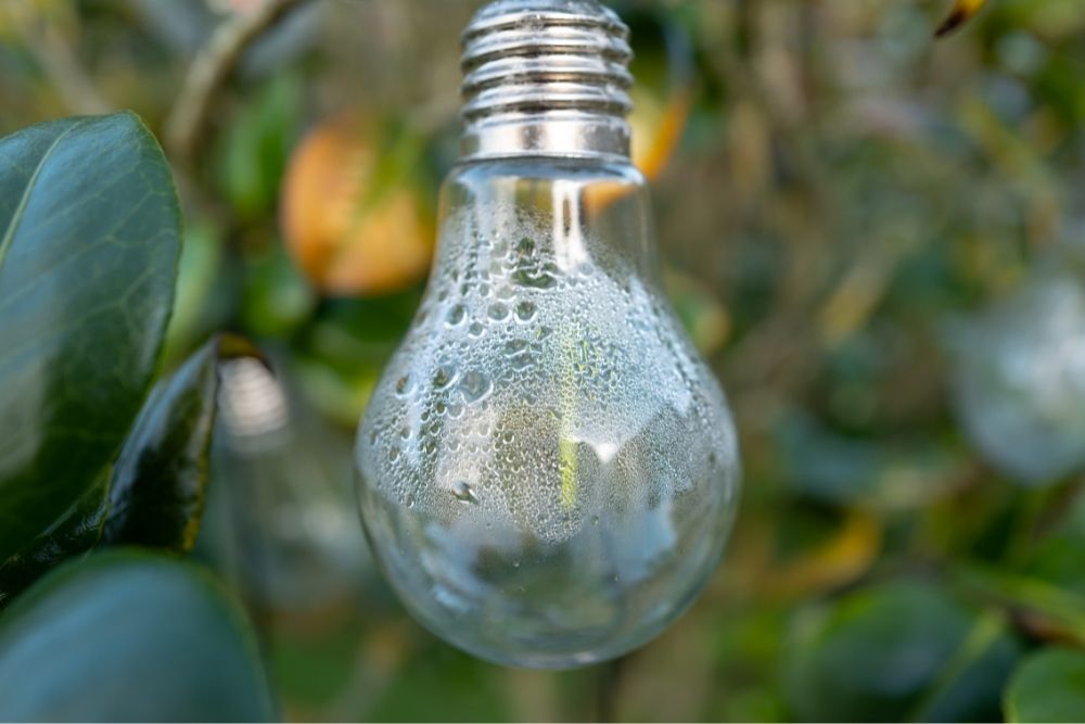 solar-garden-lights