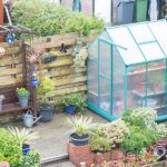 Best-Polycarbonate-Greenhouses-uk