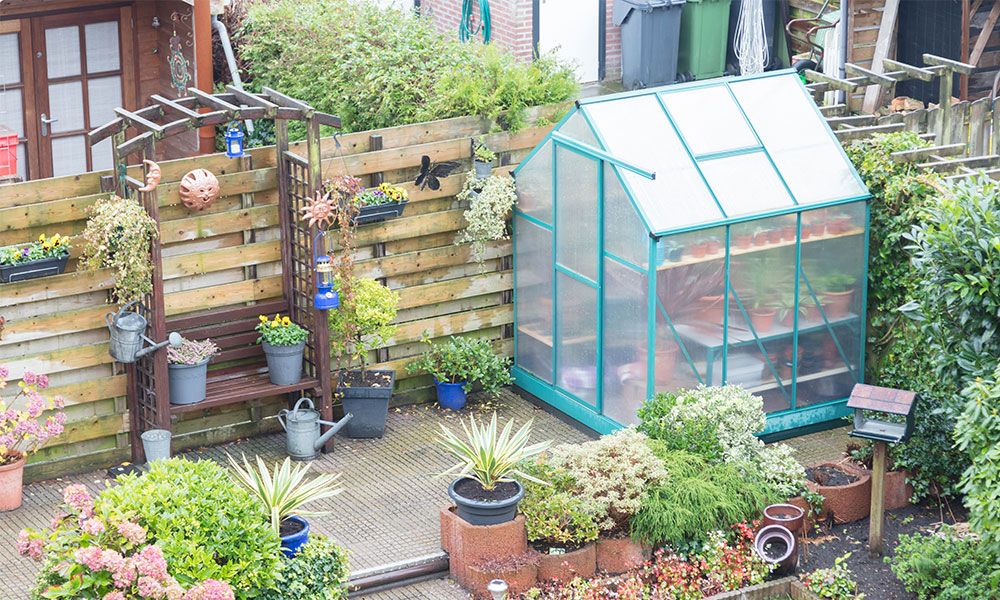 5 Best Polycarbonate Greenhouses (2023 Review UK)