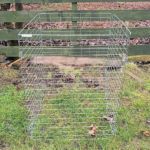 GR8-Garden-Metal-Wire-Mesh-Compost-Bin-Review