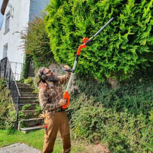 10 Best Telescopic Pole Hedge Trimmers Tested (2024 Review)