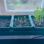 best-heated-electric-propagator-review-uk-tested