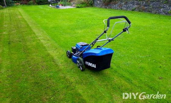 best-lawn-mower-for-stripes-uk