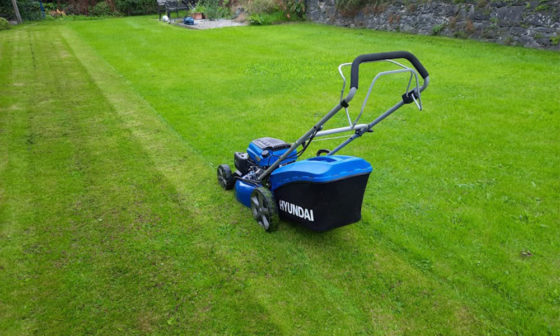 best corded mower 2023