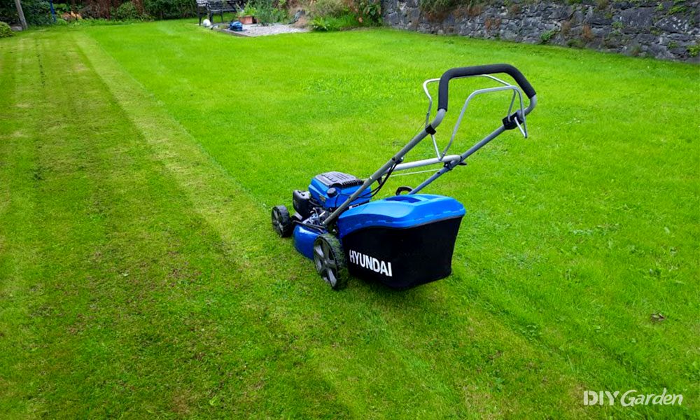 best lawn mower for stripes uk