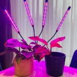 best-led-grow-light-lamp-uk-review