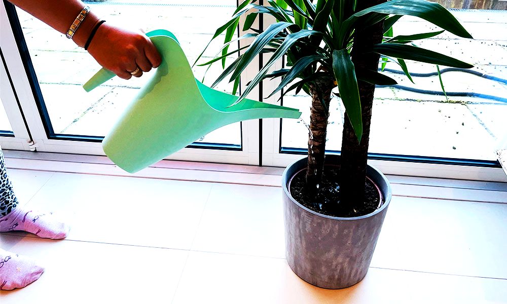 best-watering-can-uk-review