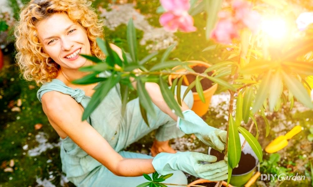 gardening benefits for mental health