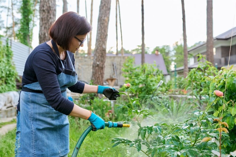 gardening-connection-with-nature