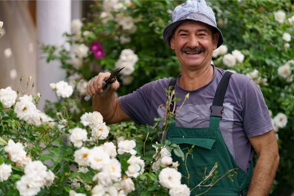 gardening-happy-hormones