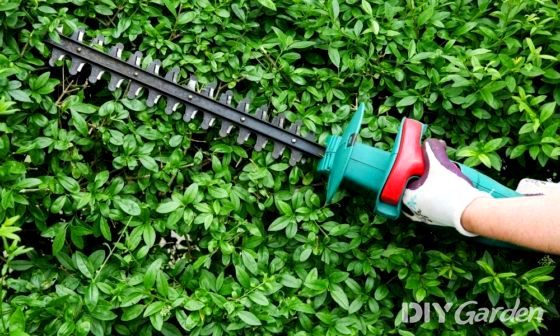 how-to-sharpen-hedge-trimmers