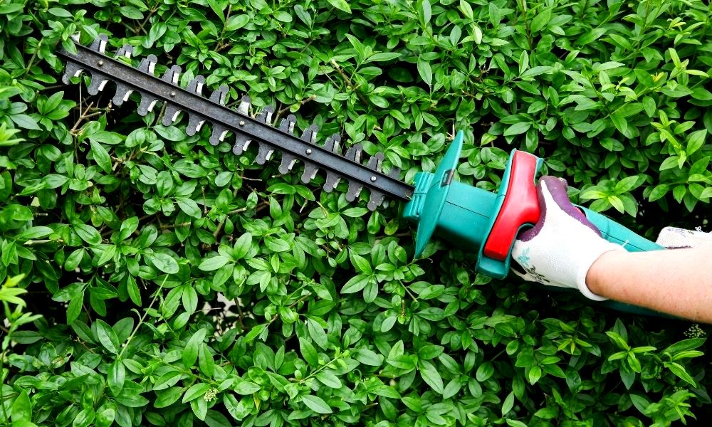 how-to-sharpen-hedge-trimmers