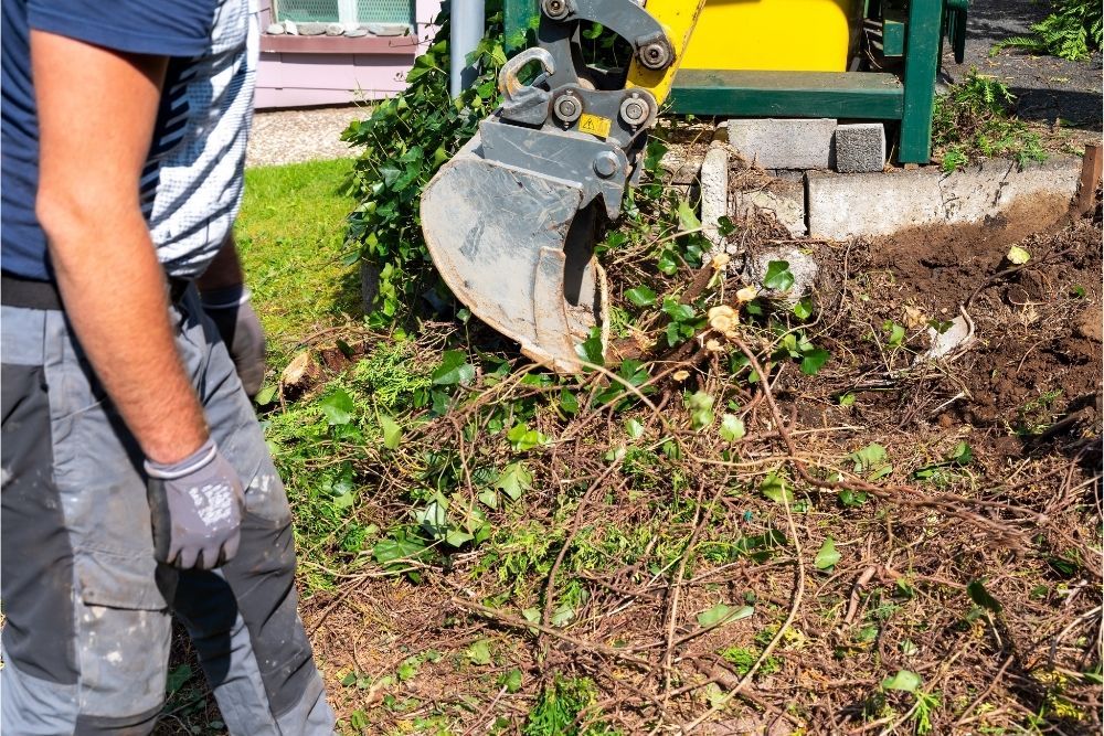 removing-hedge-stump