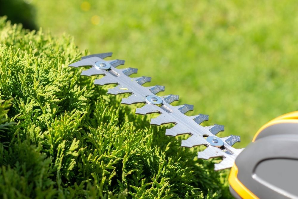 sharpening-hedge-trimmer